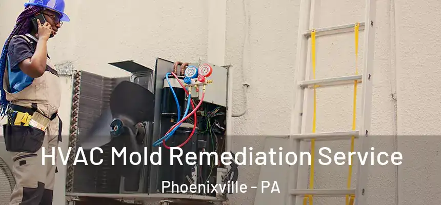  HVAC Mold Remediation Service Phoenixville - PA