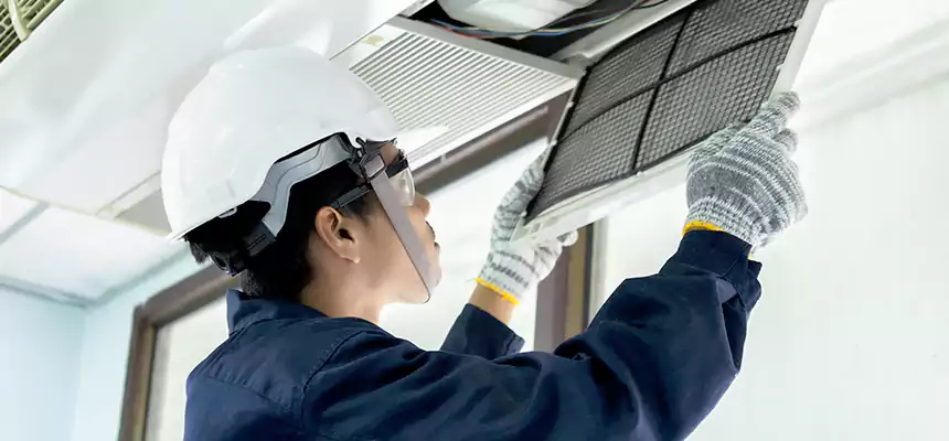 Our Mold & Mildew Removal from Air Ducts Services in Phoenixville, PA