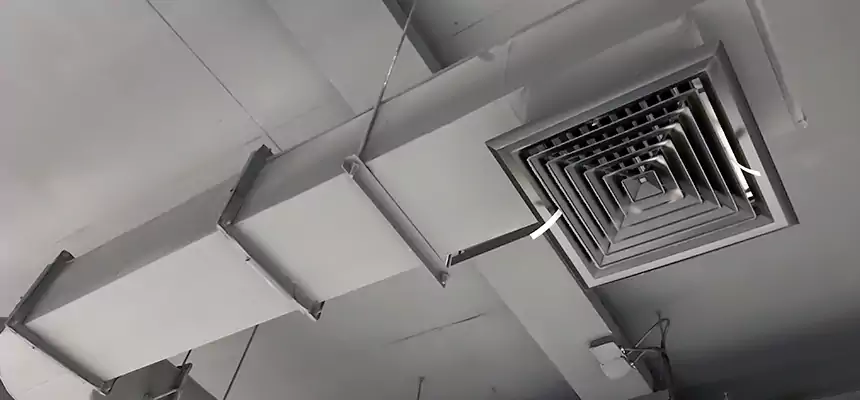 Our Pest Removal From Ducts Services in Phoenixville, PA