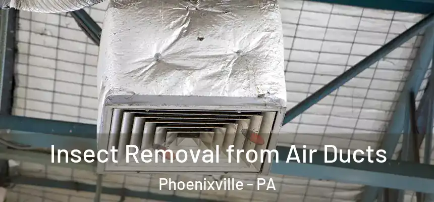 Insect Removal from Air Ducts Phoenixville - PA