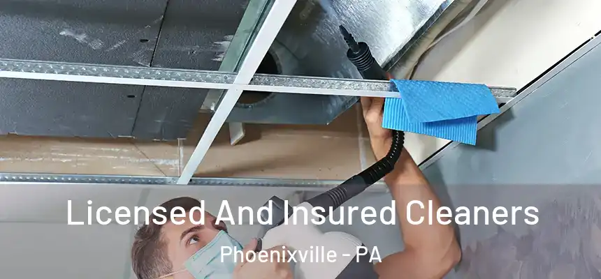  Licensed And Insured Cleaners Phoenixville - PA
