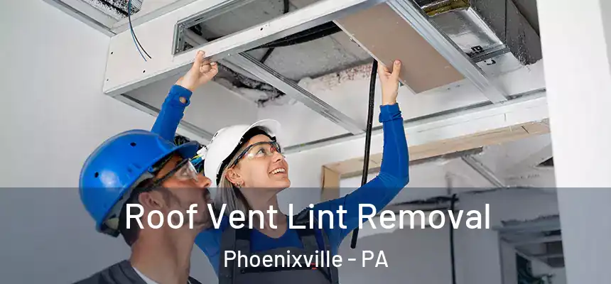 Roof Vent Lint Removal Phoenixville - PA