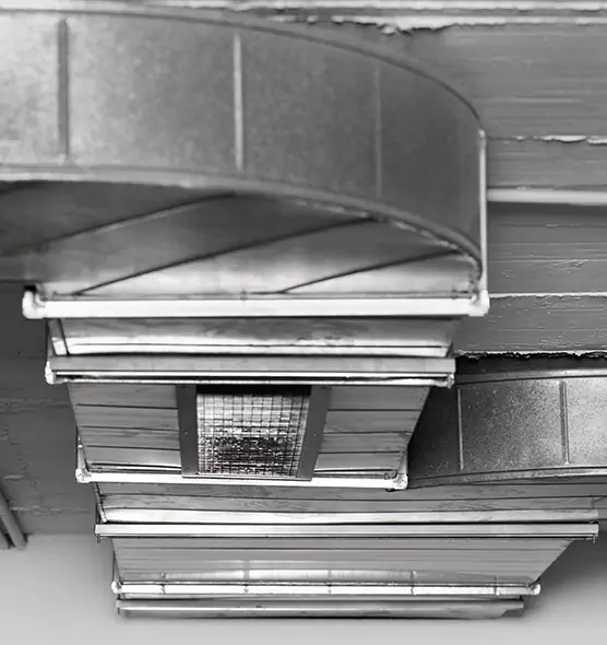 Professional Air Duct Pest Removal in Phoenixville, PA