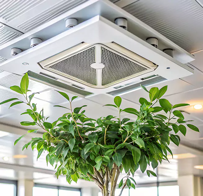 Why Homeowners & Businesses Trust Us in Phoenixville, PA